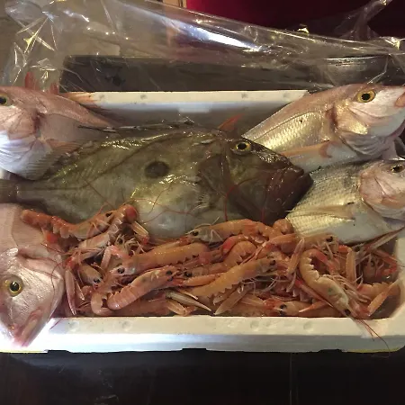 Heritage Tragos Hotell Trogir